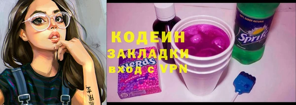 индика Касимов