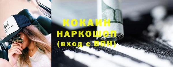 индика Касимов