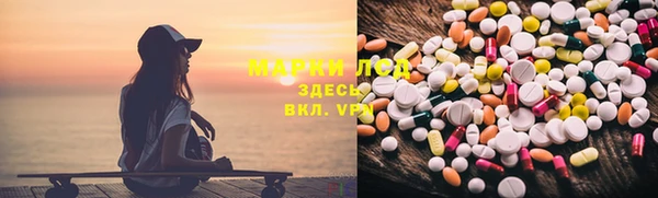 индика Касимов