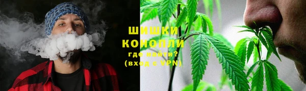 индика Касимов