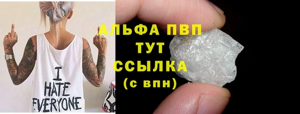 индика Касимов
