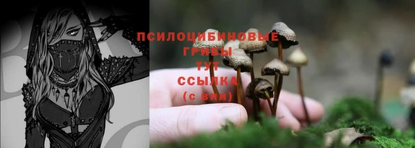 а пвп мука Карпинск