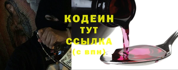 индика Касимов
