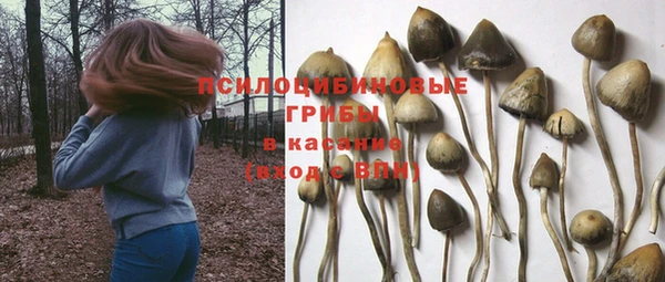 а пвп мука Карпинск