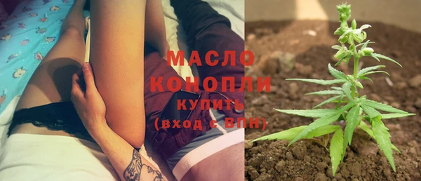 индика Касимов
