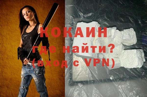 индика Касимов