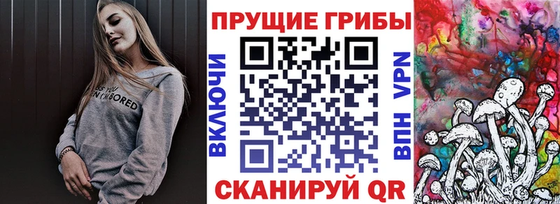 Купить  Гусь-Хрустальный  Псилоцибиновые грибы ЛСД 