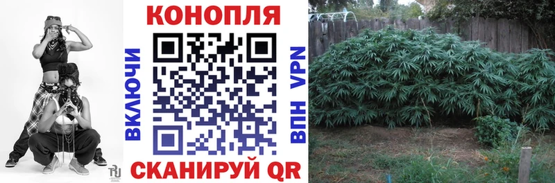 Каннабис Amnesia  Купить  Гусь-Хрустальный 
